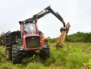 Senai e Bracell inscrevem para curso de formação de profissionais para área florestal na Bahia