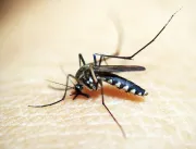 Bahia chega a 21 mortes por dengue no primeiro trimestre de 2024