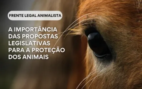 Frente Legal Animalista Lança Banco de Projetos de Lei