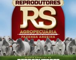 Leilão Virtual Reprodutores RS Agropecuária oferta 55 lotes de Nelore P.O. em 15 de abril