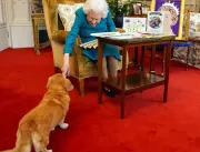 Quantos cães a rainha Elizabeth deixa? Relembre fotos da monarca com seus corgis